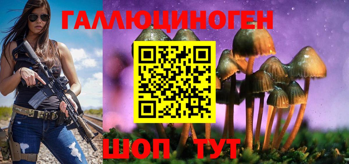 Берёзовский  купить наркотики сайты  Вход с VPN  Галлюциногенные грибы мицелий 